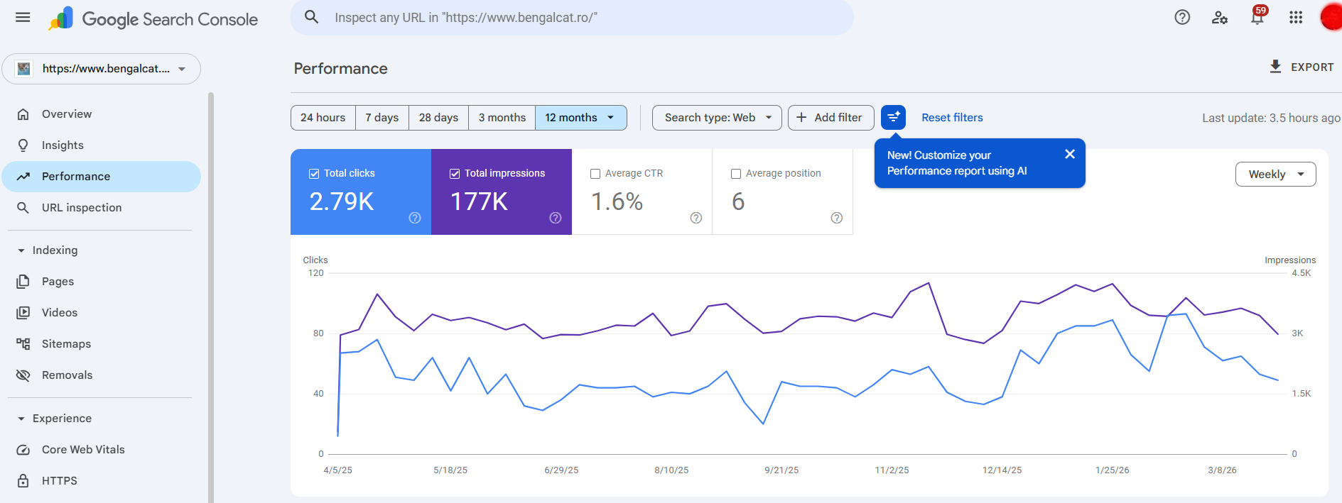 Real SEO Performance Example